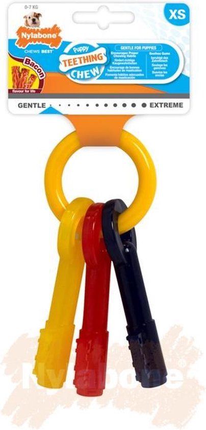 Nylabone Puppy Teething Key Ring X-Small - Bacon Flavored Chew Toy