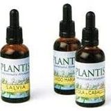 Plantis Ginkgo Biloba-extract 50 ml