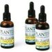 Plantis Ginkgo Biloba-extract 50 ml