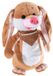 HEUNEC 325678 peluche, brun