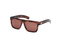 Adidas Originals OR0127 Dark Havana Zonnebril