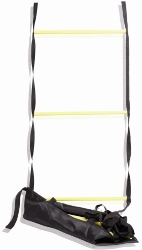 Lifemaxx Agility ladder l 4 5 m l incl tas