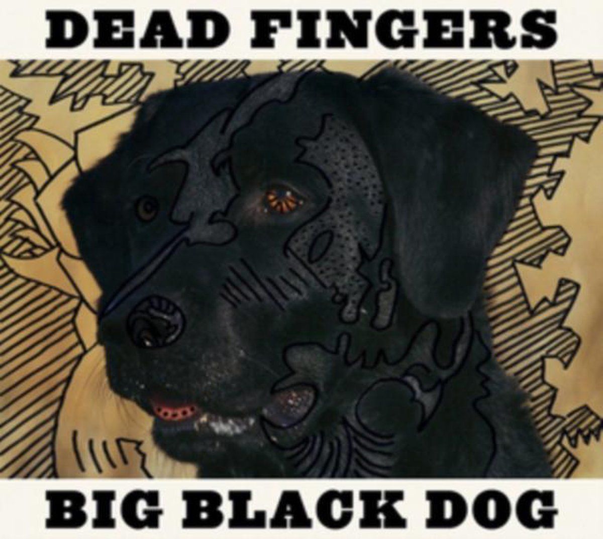 Sonic Rendezvous Big Black Dog - Muziek - 0882167000341