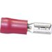 TRU COMPONENTS 1583061 Connecteur femelle Largeur d'insertion : 4.80 mm Épaisseur d'insertion : 0.80 mm 180 ° Partiellement isolé Rouge 1 pièce(s)