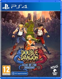 Mindscape double dragon gaiden: rise of the dragons PlayStation 4
