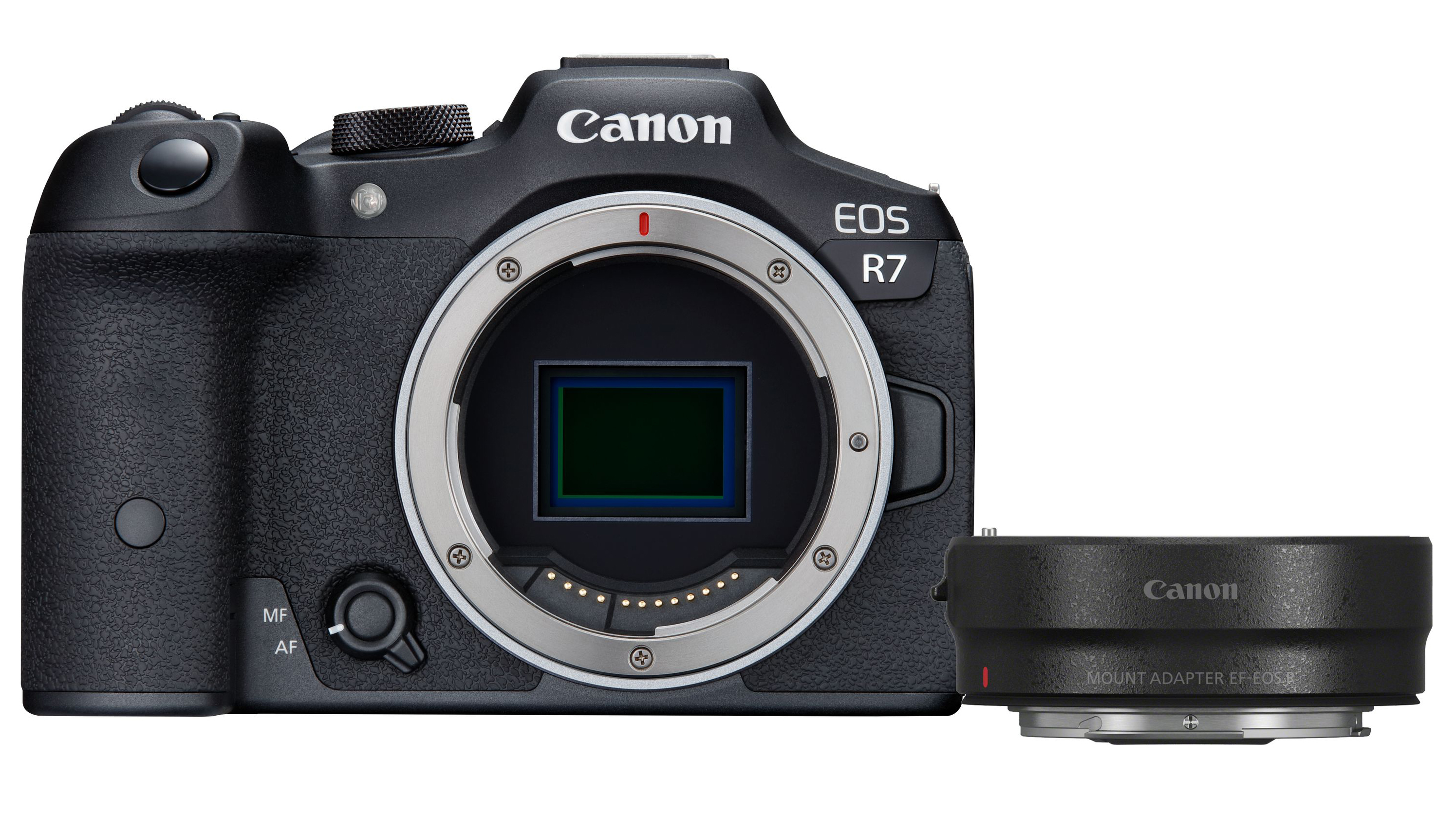 Canon R7 + EF-EOS R