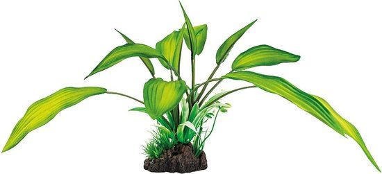 Superfish Art plant Cryptocoryne - 25 cm - Green