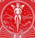 Rider 12 paquets Rider Back cartes à jouer, rouge, format 63x88 mm