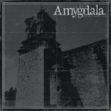 Suburban Amygdala Our Voices Will Soar Forever