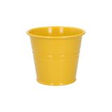 Cache-pot, zinc, genêt jaune, Ø11 cm
