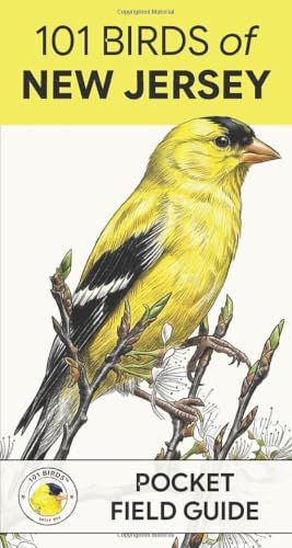 101 Birds of New Jersey: Pocket Field Guide