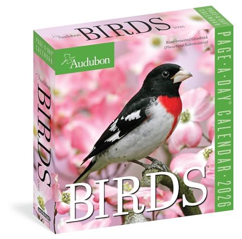 Audubon Birds Page-A-Day(r) Calendar 2026
