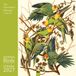 Flame Tree Audubon Birds Kalender 2027