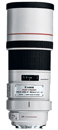 Canon EF 300mm f/4L IS USM