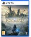 Warner Bros. Entertainment Hogwarts Legacy - PS5 - Standard Edition