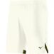 Mizuno Short Training