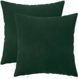 vidaXL Kussensloop 2 pcs Heerlen Donkergroen 35 x 35 cm Fluweel