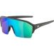 Olympic Sportswear Alpina Ram Hr Q-lite Lunettes de sport