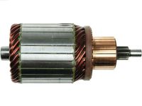 AS-PL SA9028 Starter fittingen/starterrotoren