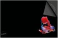 Dietrix Inductie Beschermer 78x52 - Under the Sea - Vis Rood Blauw