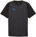 Puma Individualcup T-shirt Korte Mouwen Zwart M Man