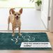 Dog Gone Smart Dirty Dog Deurmat, microvezel, super absorberend, machinewasbaar, met antislip onderkant, klein, petrol