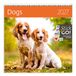 Helma365 CA02-2027 Schrijfkalender 30 x 30 Honden