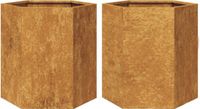vidaXL Plantenbakken - 2 stuks - Zeshoek - 46x40x45 cm - Weervast - Staal