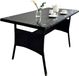 Merkloos Tuintafel - 100x70x60 cm - zwart