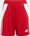 adidas Performance Tiro 24 Short Kids - Rood - 116