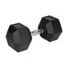 Rebel Active Serie - Haltère en fonte vulcanisée - 22,5 kg - Hexagonal