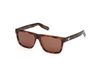 Adidas Originals OR0147 Dark havana 56/14/145 UNISEX Zonnebrillen