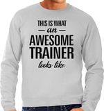 Bellatio Decorations Shoppartners Bv This is what an awesome trainer looks like cadeau sweater grijs - heren - beroepen / cadeau trui S