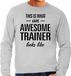Bellatio Decorations Shoppartners Bv This is what an awesome trainer looks like cadeau sweater grijs - heren - beroepen / cadeau trui S