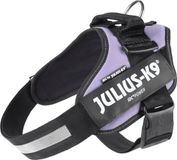 Julius-K9 IDC® Powertuig, L - maat 1, paars