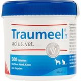 Traumeel Traumeel T Tabletten - 250 stuks