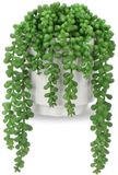 Ibenzoa® Plantes artificielles en forme de succulentes, dans d'élégants pots en céramique – décoration réaliste en plastique PE, facile d'entretien pour salon, salle de bain et bureau