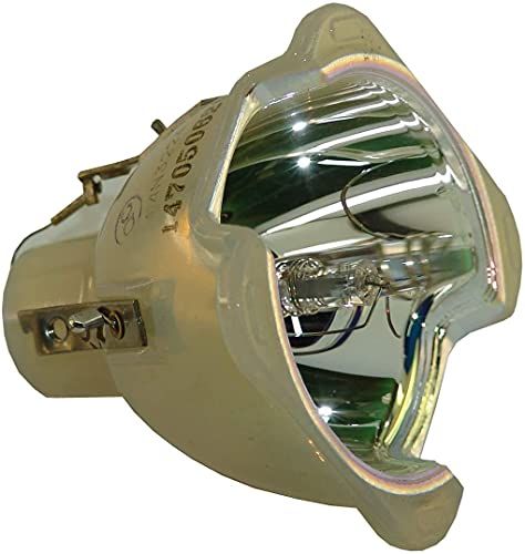 MZWNQ Projector Lamp BL-FP300A SP.85Y01GC01 voor OPTOMA DX800 EP780 DM05 EP759 EP781 TX780 Zonder Behuizing