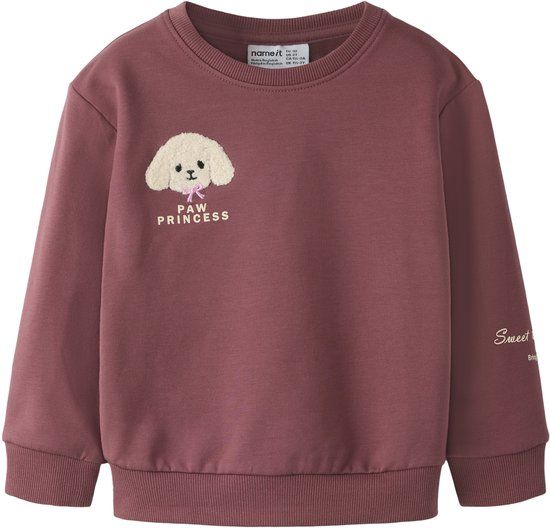 NAME IT - NMFNORINNI LS NREG SWEAT BRU BOX - Meisjes - Sweaters - Maat 116 - Katoen/Elastaan - Wild Ginger
