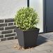 Maison Exclusive - Bac à plantes noir 30x30x30 en acier