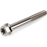 Stage6 Vis titane M6x55mm Stage6 R/T