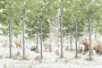 A.S. Création Behang Wildlife 3,75 m x 2,50 m - WALLLOVE Behang bos kinderkamer groen, bruin, beige incl. lijm - DD129593