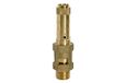 RIEGLER 105062-229.06-3,0 veiligheidsventiel, messing, G 2, responsdruk 3 bar, 1 stuk
