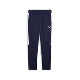 Puma Team Evostripe Broek