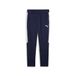Puma Team Evostripe Broek