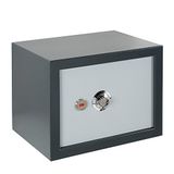 FAC 103-MS Safe