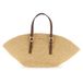 Michael Kors Small Fan Tote Bag Luggage