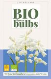 JUB Hyacinthoides hispanica Wit bloembol JUB 7 stuks bio