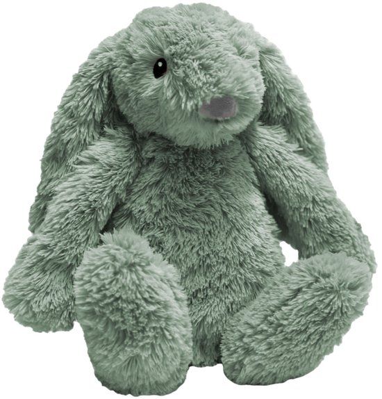 Zazu Ro het Konijn Green Knuffel met Nachtlampje