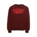 LOOXS little rechtvallende sweater met tekstprint - bruin